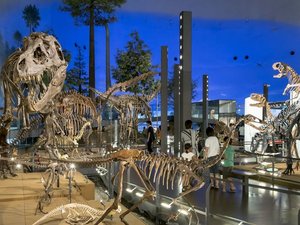 【恐竜博物館】恐竜王国福井を象徴する「福井県恐竜博物館」