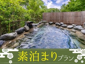 【素泊まりプラン】森に佇む癒し空間で心ゆくまで温泉を♪