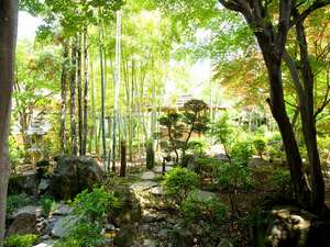 「竹林庭瑞穂　旅籠きこり」の【瑞穂】竹林庭　自然の息吹を感じていただけます。