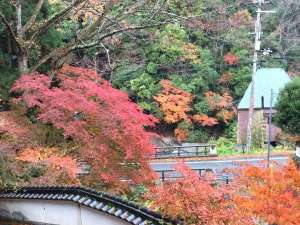 お部屋からの紅葉風景