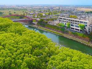 「船小屋温泉　ホテル樋口軒」の大楠林や矢部川を望む素敵な景観が館内から楽しめます。県南公園やホークスの2軍球場もすぐ！