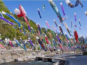 「川のせせらぎの宿　旅館かねいし」の★杖立温泉鯉のぼり祭り♪★4月1日～5月6日頃まで