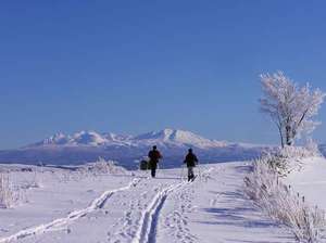 「ポテトヴィレッジ美瑛ポテトの丘」の冬季限定・丘の上を歩くスキー・スノーシューツアー