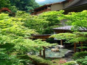 「山野草の宿　二人静」の兵坊太郎の湯