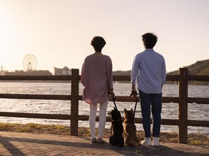 浜名湖畔のお散歩