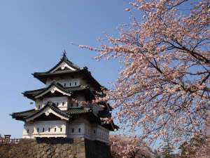 弘前城の桜