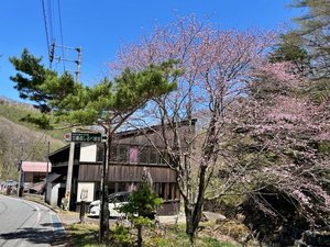 「鹿沢温泉　紅葉館」の外観　桜