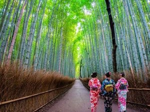 着物・浴衣レンタル手配もやっております！