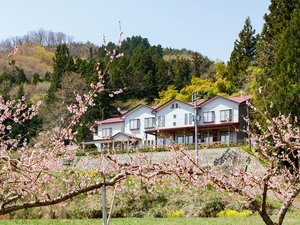 *外観／春の風景