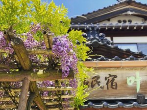 ひみ栄和温泉元湯 民宿 叶