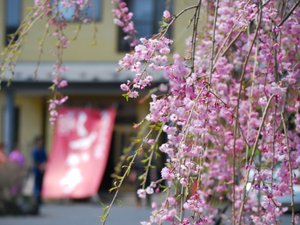 奥州平泉温泉 そば庵 しづか亭