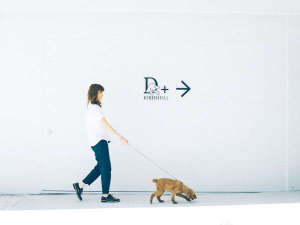 「愛犬と泊まれるスタイリッシュ宿。D+KIRISHIMA」の普通に犬と泊まれるだけの宿泊施設じゃつまらない。