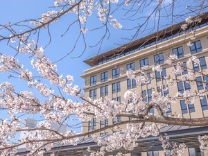 「ザ・ゲートホテル京都高瀬川　by　HULIC（THE　GATE　HOTEL）」の桜の時期をむかえると、高瀬川沿いに桜がきれいに咲き誇ります。