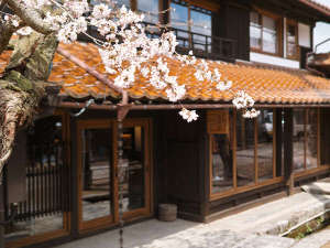 「新庄宿　須貝邸」の桜の時期には「がいせん桜通り」のソメイヨシノがゆっくり楽しめます。さとやま時間でリラックス！