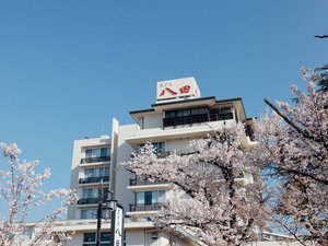 さくら温泉通りのソメイヨシノと当館（桜の開花は3月下旬頃です・画像は4月始めに撮影）