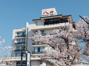 石和温泉 美と健康と癒しの宿 ホテル八田