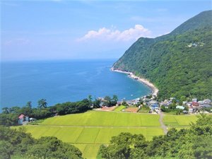 「リブマックスリゾート伊東川奈」の初夏の伊豆は『新緑×海』で見どころ盛りだくさん！