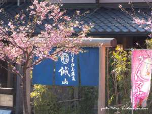 「伊豆畑毛温泉　誠山」のかんなみ桜　会席料理を食べながらの花見も可能です