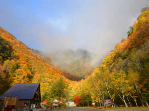 「七倉山荘」の燃える紅葉に包まれる七倉谷・七倉山荘周囲