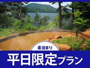 【平日限定】素泊まりプラン