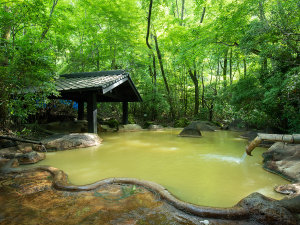 *温泉(露天風呂・女性)CMでも話題になった知る人ぞ知る黄土色に輝く温泉