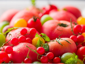 夏の食材「トマトと夏野菜」