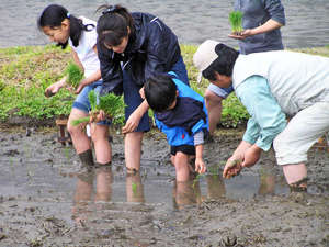【田植え体験プラン】毎年5月に開催予定。大人も子供も裸足で泥にドボン♪肌で自然を体感できます。