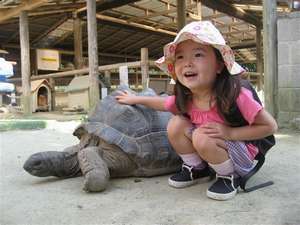 【渋川動物公園】　自然の丘陵をそのまま生かした地形に、約80種600頭羽を飼育しています。