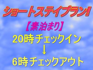 ショートステイ(20時～6時)