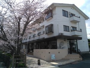 「カフェ＆ペンション飛鳥」の桜並木が美しく心癒されます。