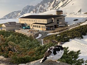 「みくりが池温泉」の室堂ターミナルから徒歩15分、大自然の中にあります。