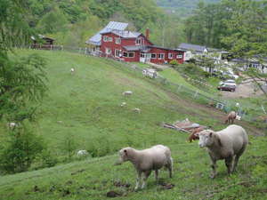 「ファームイン　アニマの里」の子羊と施設全景