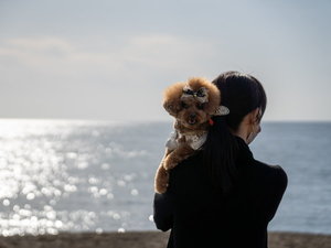 愛犬と一緒に館山の海をご満喫ください！
