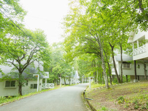 静寂に包まれた森のコテージ。１軒１軒独立しており、気兼ねなくお過ごしいただけます。