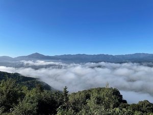「Mahora稲穂山」の雲海