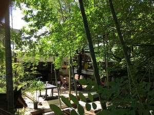 「箱根　杜の宿」の竹林を望むbamboo terraceご予約性でBBQもご利用いただけます。
