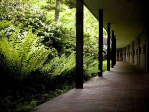 ガーデンツインルームへ続く廊下は四季折々の自然がお楽しみいただけます