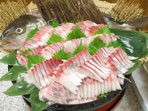 夕食バイキング例「姿造り（日替わり）」※内容は随時変更になる場合がございます。