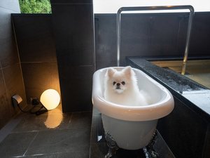 「伊香保温泉　Ｄｏｇｇｙスイートペロ（２０２３年７月ＯＰＥＮ）」の各部屋のバルコニーには、伊香保温泉の湯を湛えた露天風呂を設置。すぐ横に愛犬用の浴槽もご用意しました。