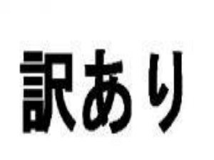 訳ありプラン