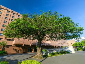 「沖縄ハーバービューホテル」の【ガジュマルの木】大きなガジュマルの木が皆さまをお出迎えいたします。