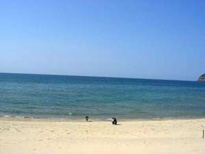 県外からもたくさんの人が来てにぎわう浦富海水浴場♪当館よりビーチまで、０メートルです！