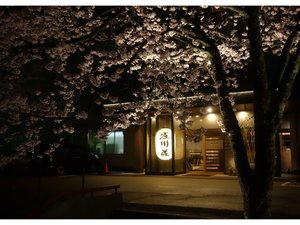 「庄川清流温泉　となみ野庄川荘　一萬亭」の夜桜エントランス。幻想的な景色。桜の魅力が溢れてます。
