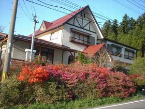 「旅館　名山」のツツジ