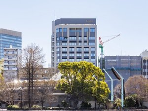 「＆Here　TOKYO　UENO」の【外観】14階建てで、JR上野駅から徒歩7分の好立地♪