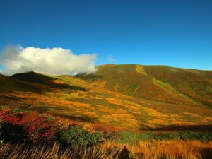 *月山／秋には見事な紅葉が楽しめます