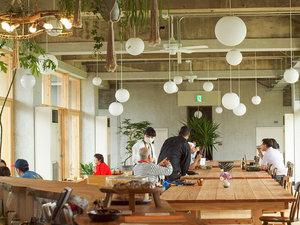 「ＨＩＫＥ」の【1階・カフェ&ダイニング】木の温もりを感じられる空間でお食事をお楽しみください。