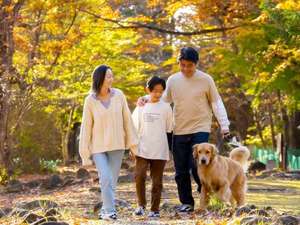 那須高原、森の隠れ家で、愛犬と一緒にリゾートステイ。夢の家族旅行が、フォレストヒルズ那須で叶います。