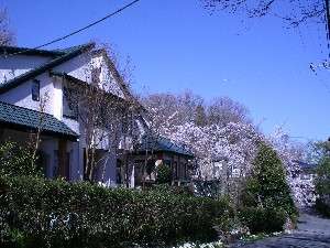 「伊豆高原　ペンション　ノエル」の桜の時期正面西からの写真です。四季の彩りが美しいです。