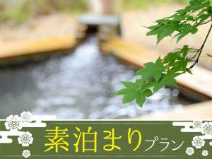 【素泊りプラン】四季折々の風景を楽しみながらの湯浴みが露天風呂の醍醐味です(^^♪